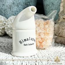 Salt inhaler